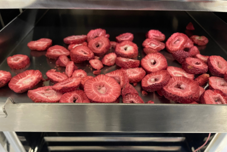 Frutilla en rodajas luego de un proceso de liofilizado